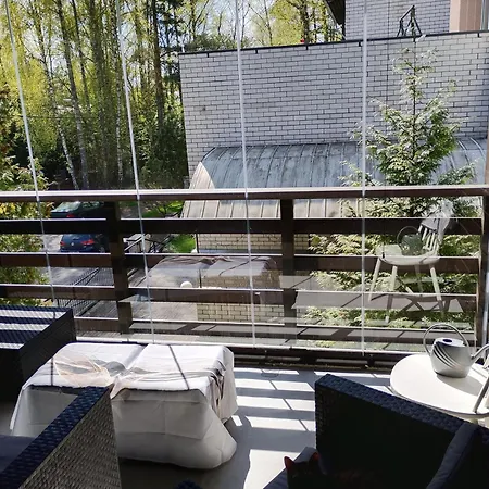 Professor Affittacamere *