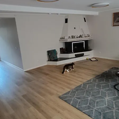 ゲストハウス Professor