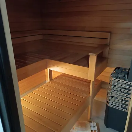 Professor Affittacamere