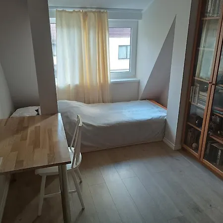 Professor * タリン