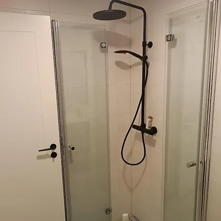 בית הארחה Professor