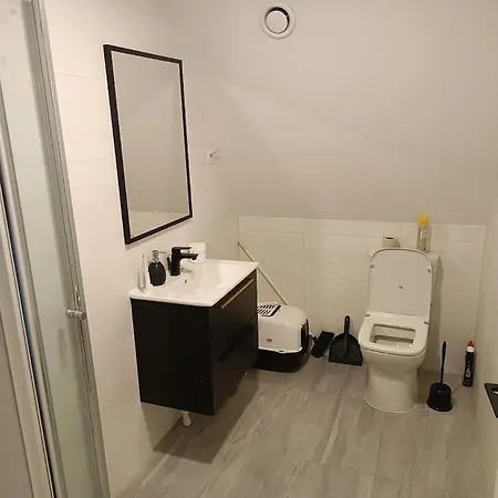 Professor בית הארחה