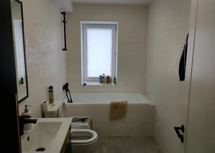 Professor Pensionat *