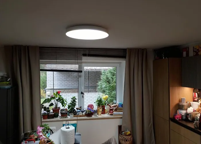 Pensionat Professor Tallinn